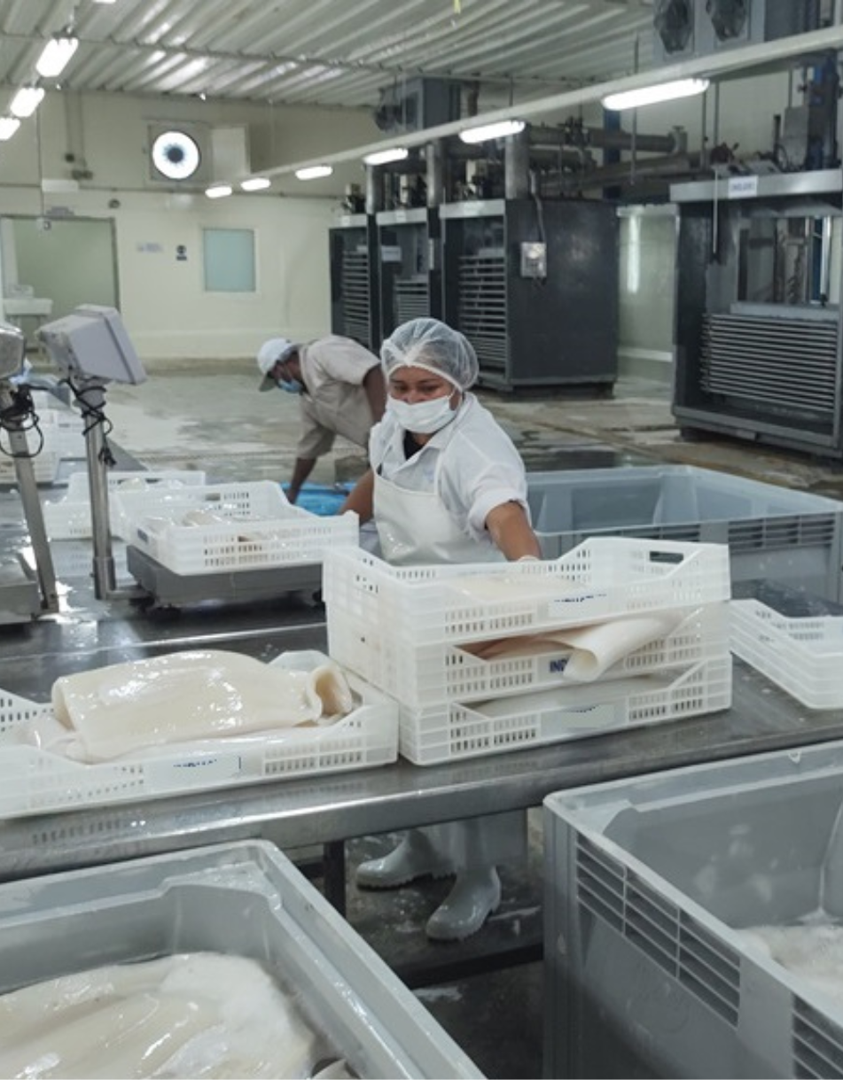 Plant processing